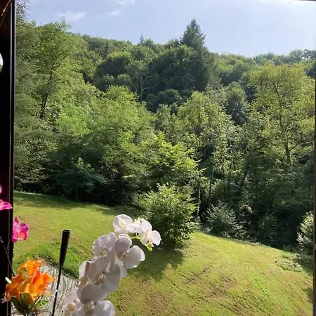 L'auberge De La Goutille Отель типа 